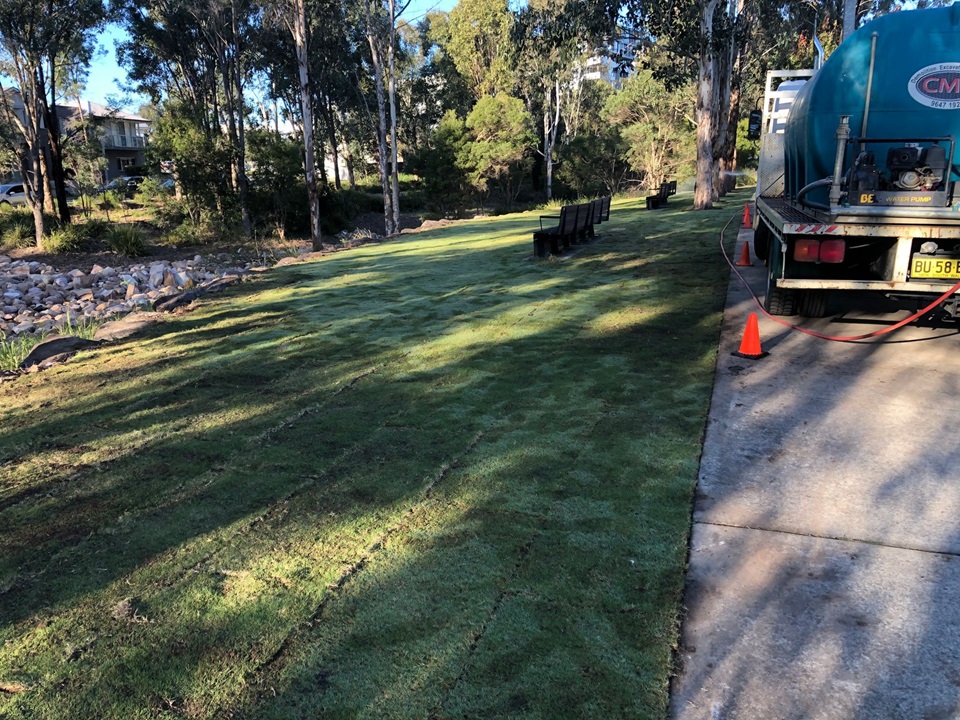 Renovating lawns